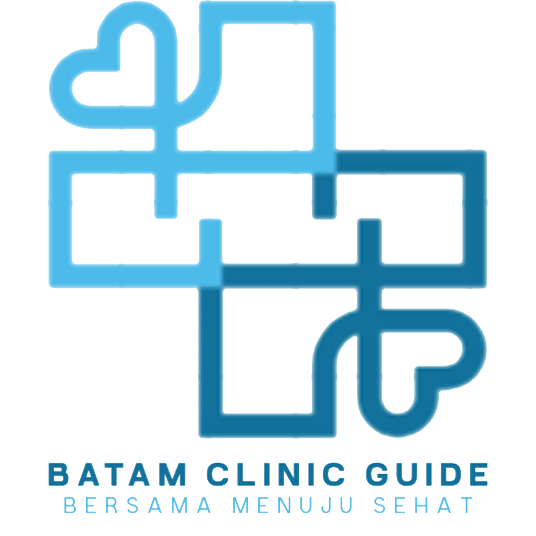 Batam Clinic Guide